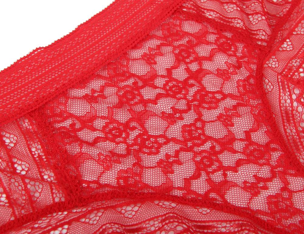 Red High Quality Floral Lace Sexy High Waist Perspective Panty