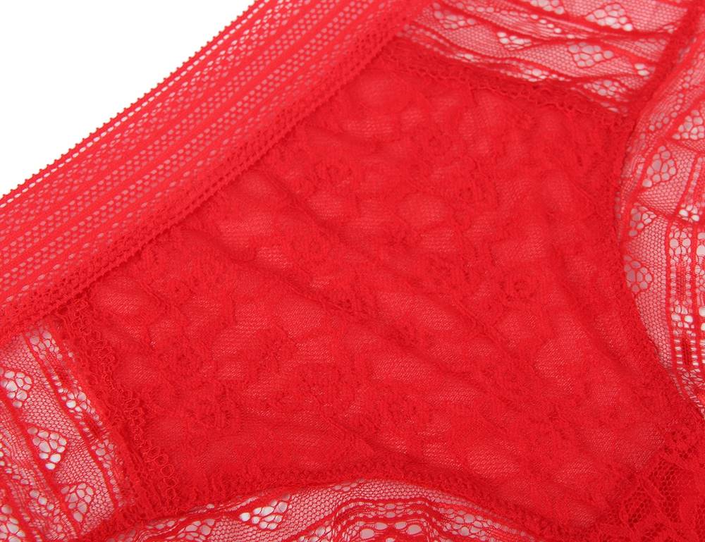 Red High Quality Floral Lace Sexy High Waist Perspective Panty