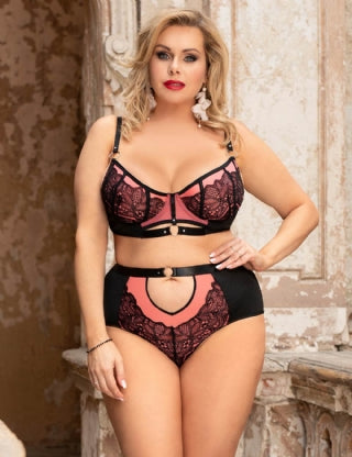 Pink Sexy Lace Mesh Push-up Bra Set